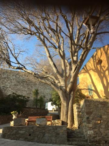 גרימו Logement Neuf Centre Du Village Aux Pieds Du Chateau מראה חיצוני תמונה